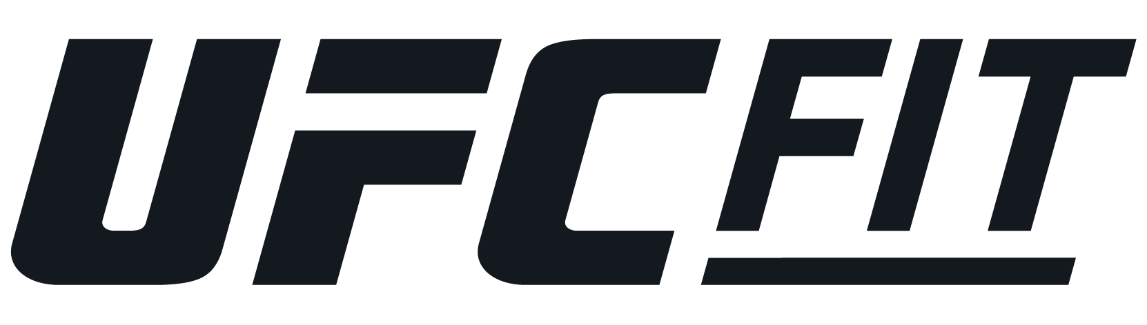 A MMA Fitness Franchise Opportunity | UFC GYM & UFC FIT